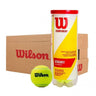 Caja Pelotas Wilson Championship Xd - Bote 4 pelotas - Caja - Wilson - Volealo
